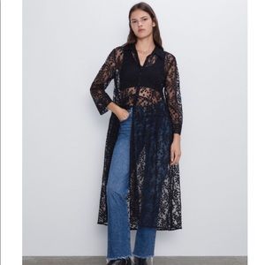 COPY - Beautiful Zara sheer dress